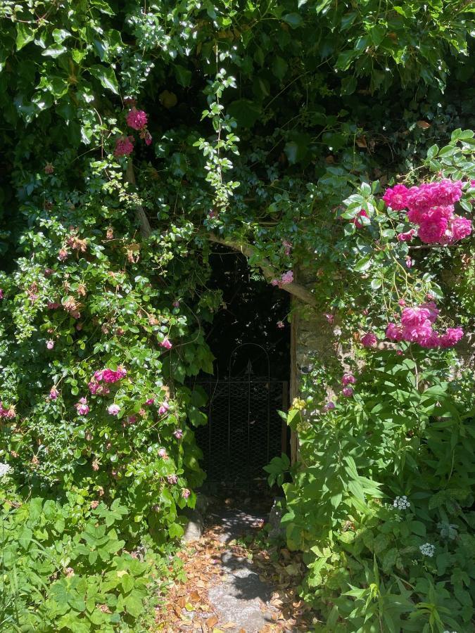 Trinity Lodge Annexe Dorchester Esterno foto